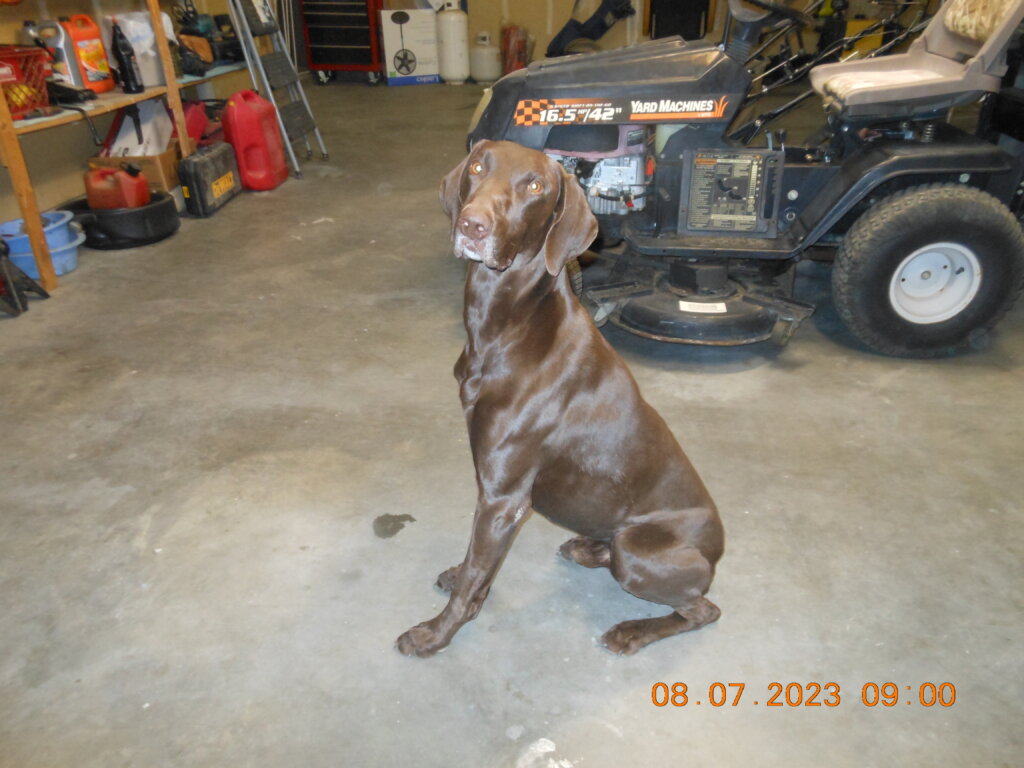 Male - Sammie X Ceaser