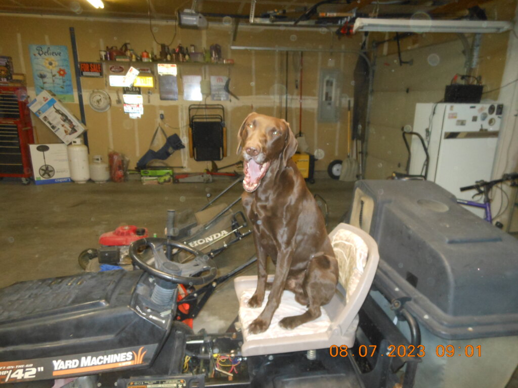Male - Sammie X Ceaser